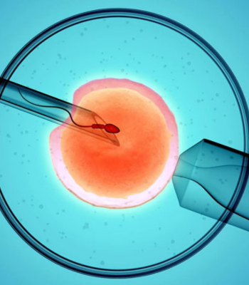 IVF clinics in Noida