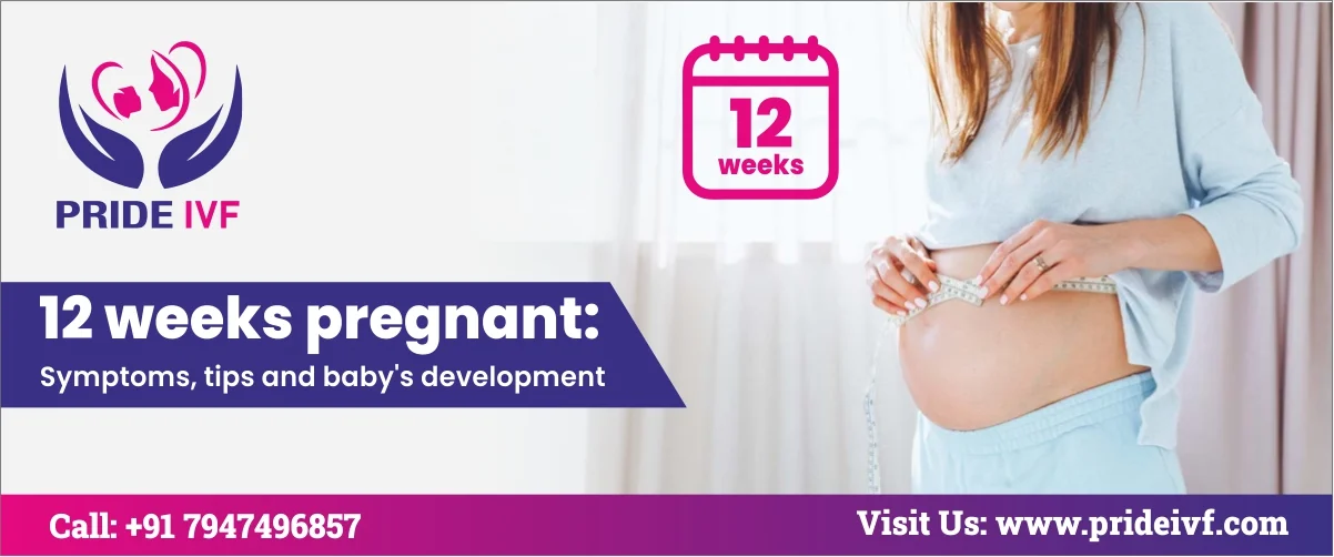 Read more about the article 12 Weeks Pregnant: Symptoms, Tips And Baby’s Development