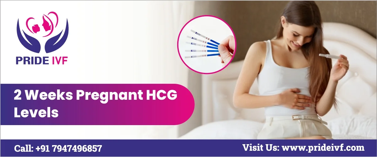 Read more about the article 2 Weeks Pregnant hCG Levels