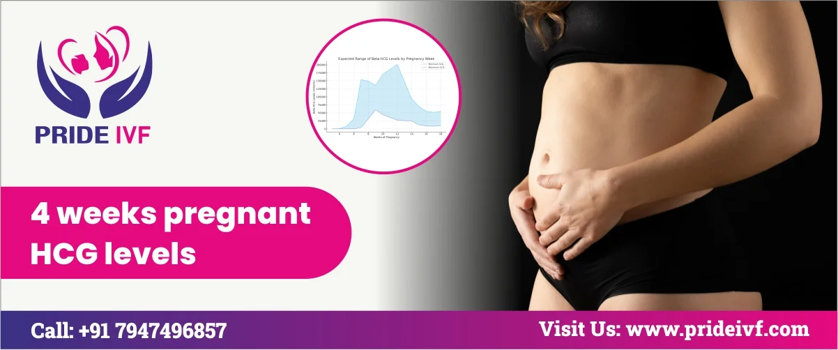 Read more about the article 4 Weeks Pregnant HCG Levels