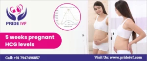 Read more about the article 5 Weeks Pregnant hCG Levels